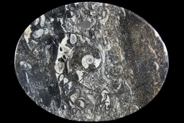 Oval Shaped Fossil Goniatite Dish #73743
